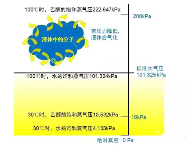 计量泵NPSH概述